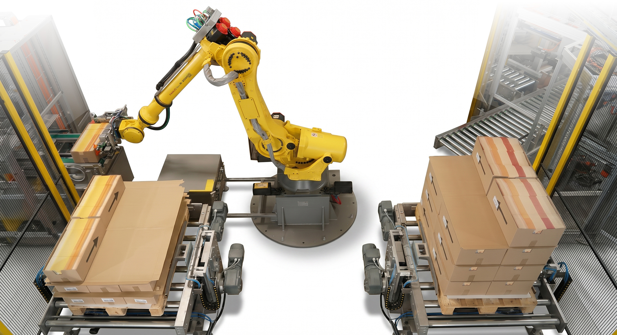 Automatic Depalletizer | Case Depalletizing System